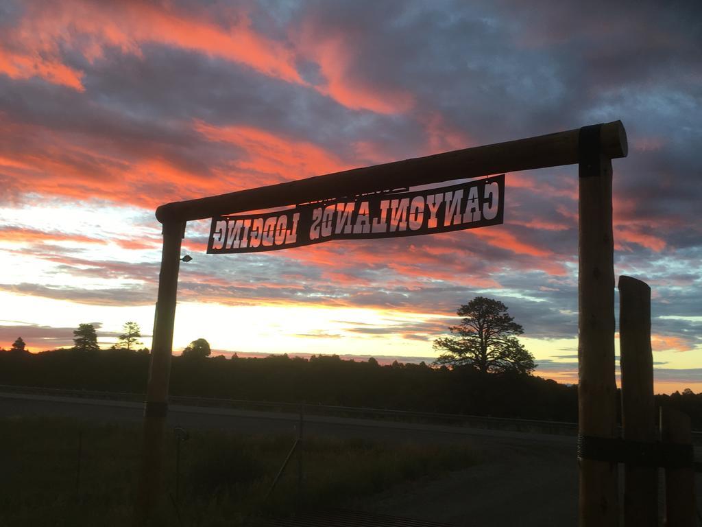 Lupine Cabin, Glamour Camping, Stunning Skies And Sunrise Views Monticello Exterior foto